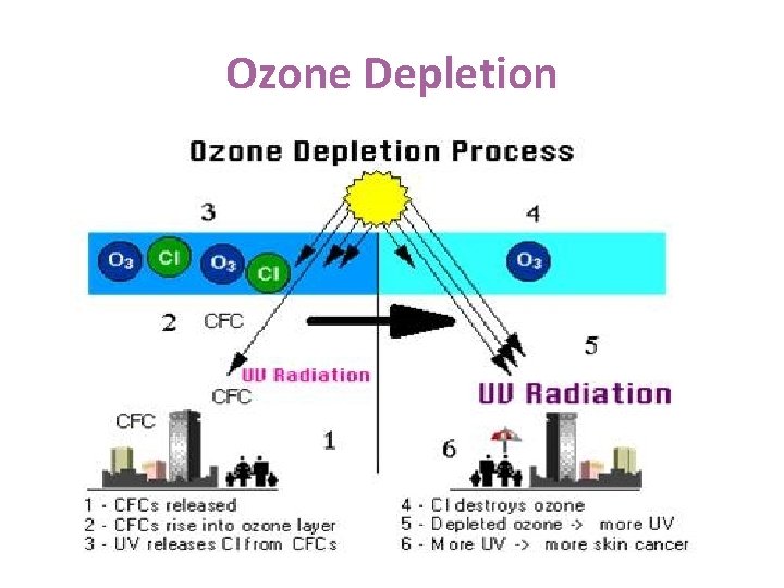 Ozone Depletion 