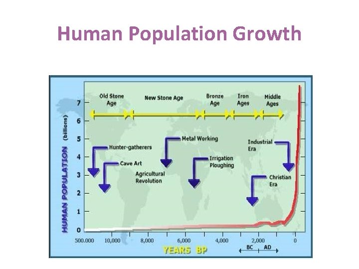 Human Population Growth 