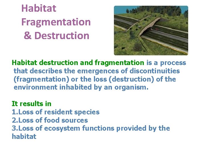 Habitat Fragmentation & Destruction Habitat destruction and fragmentation is a process Habitat destruction and