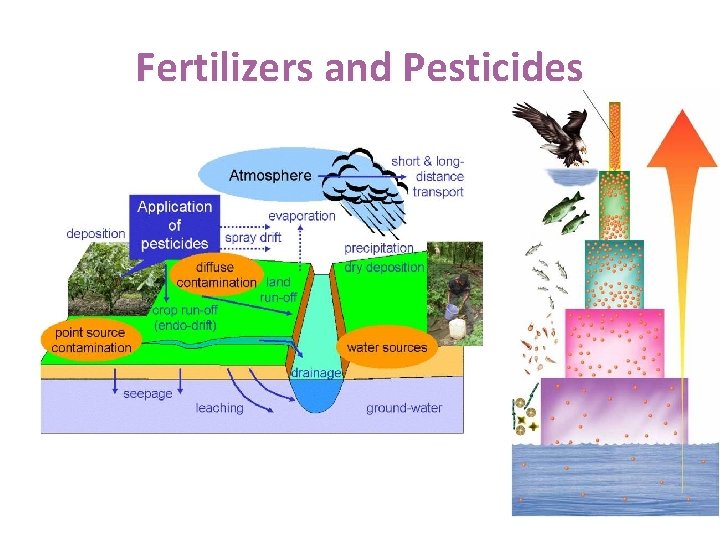 Fertilizers and Pesticides 