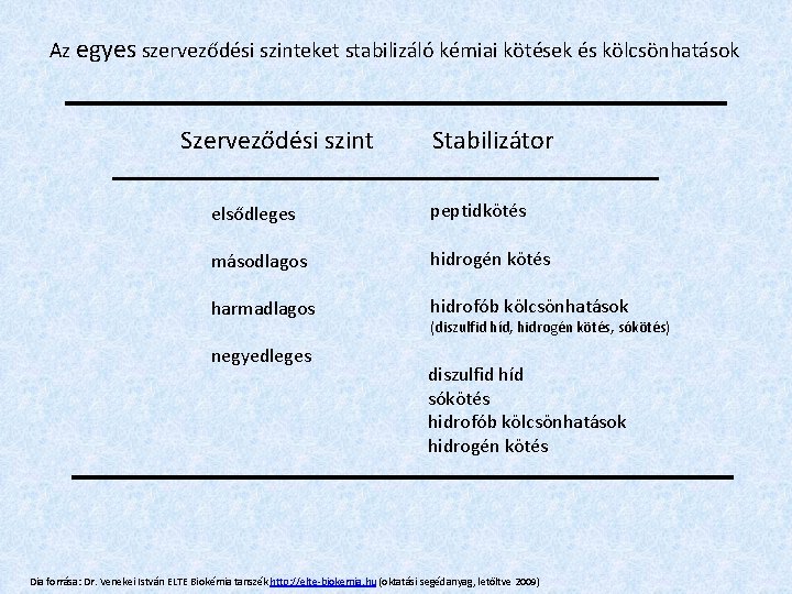 Az egyes szerveződési szinteket stabilizáló kémiai kötések és kölcsönhatások Szerveződési szint Stabilizátor elsődleges peptidkötés