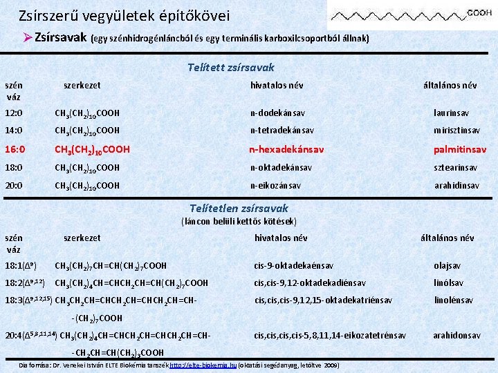 Zsírszerű vegyületek építőkövei Zsírsavak (egy szénhidrogénláncból és egy terminális karboxilcsoportból állnak) Telített zsírsavak szén