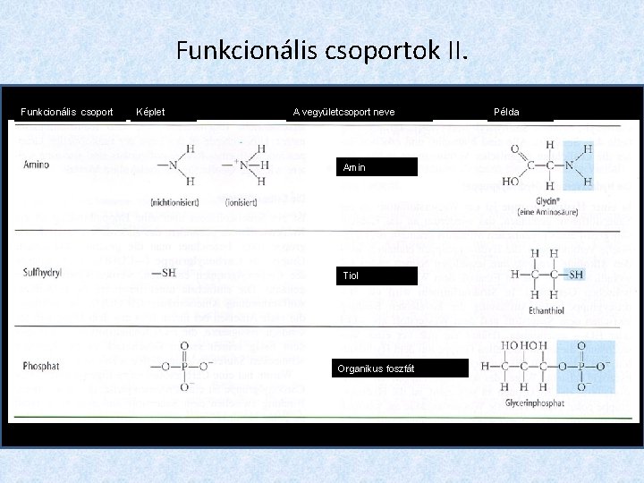 Funkcionális csoportok II. Funkcionális csoport Képlet A vegyületcsoport neve Amin Tiol Organikus foszfát Példa