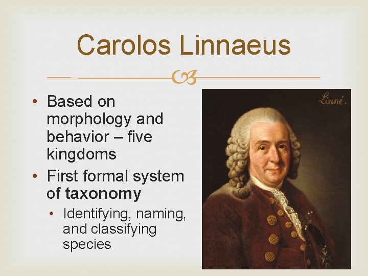 Carolos Linnaeus • Based on morphology and behavior – five kingdoms • First formal