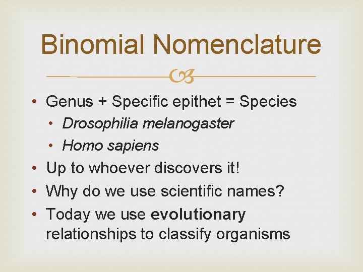 Binomial Nomenclature • Genus + Specific epithet = Species • Drosophilia melanogaster • Homo