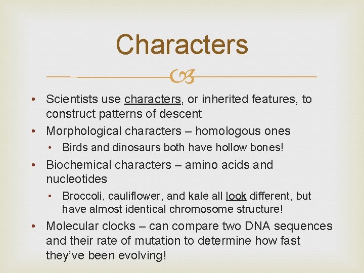 Characters • Scientists use characters, or inherited features, to construct patterns of descent •