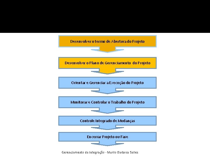 Desenvolver o termo de Abertura do Projeto Desenvolver o Plano de Gerenciamento do Projeto