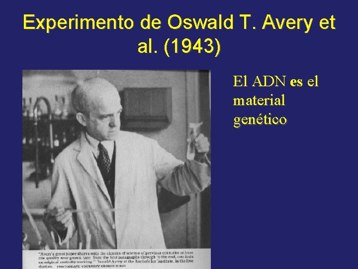 Experimento de Oswald T. Avery et al. (1943) El ADN es el material genético