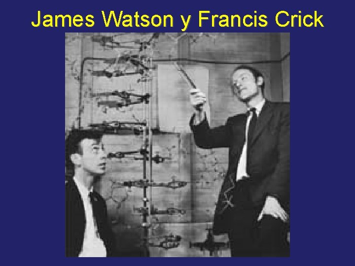 James Watson y Francis Crick 