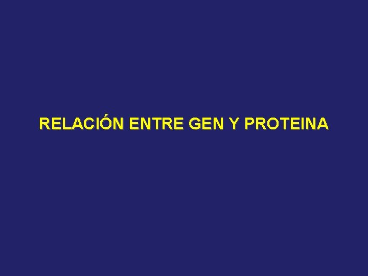 RELACIÓN ENTRE GEN Y PROTEINA 