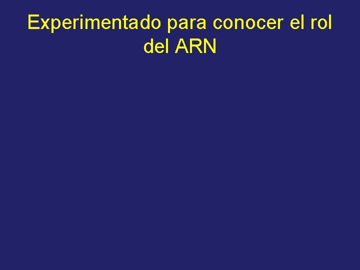 Experimentado para conocer el rol del ARN 