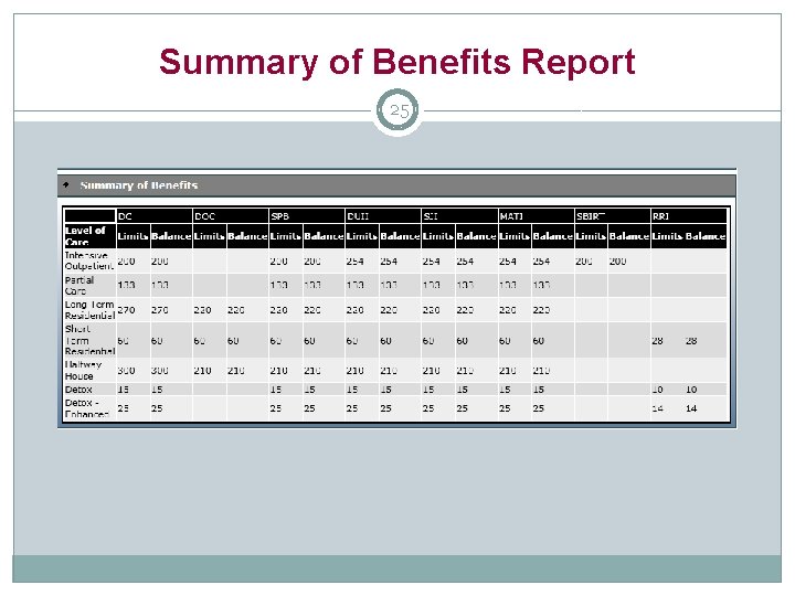 Summary of Benefits Report 25 
