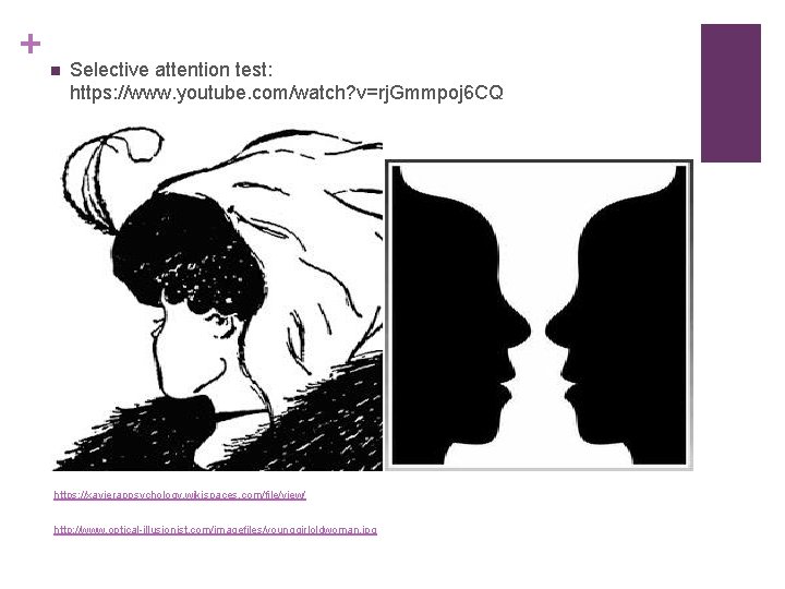 + n Selective attention test: https: //www. youtube. com/watch? v=rj. Gmmpoj 6 CQ https: