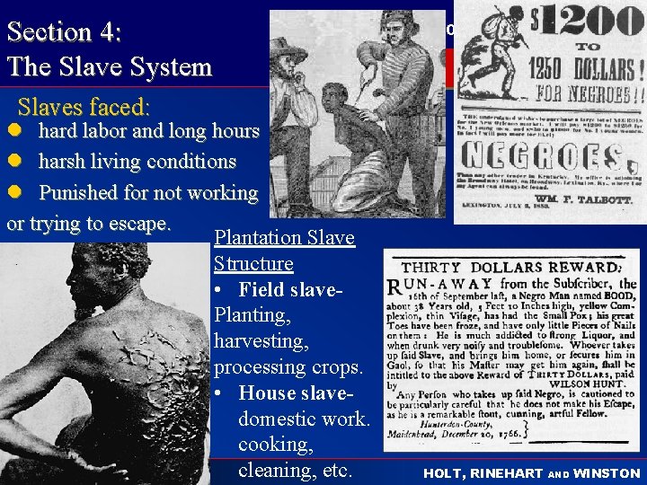 Section 4: The Slave System Slaves faced: l hard labor and long hours l