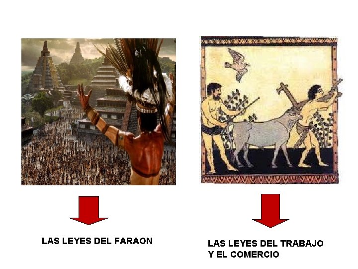 LAS LEYES DEL FARAON LAS LEYES DEL TRABAJO Y EL COMERCIO 