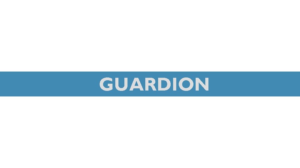 GUARDION 