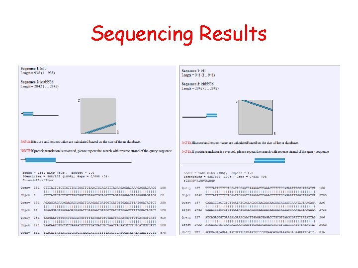 Sequencing Results 