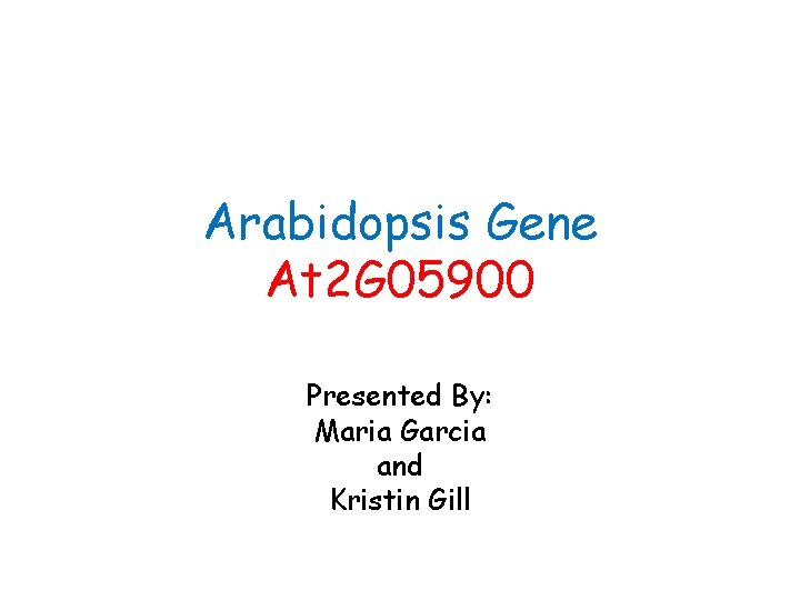 Arabidopsis Gene At 2 G 05900 Presented By: Maria Garcia and Kristin Gill 