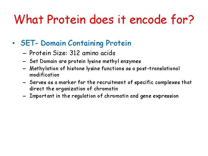 What Protein does it encode for? • SET- Domain Containing Protein – Protein Size: