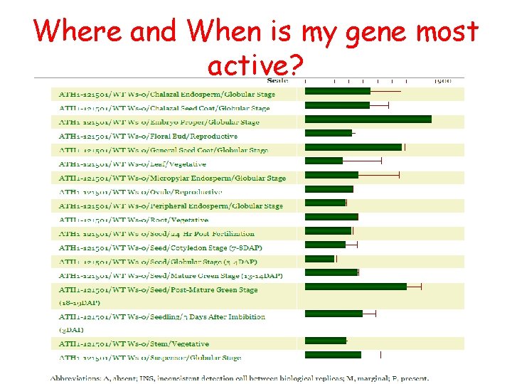 Where and When is my gene most active? RT-PCR 1. 5% agarose gel 05/20/08