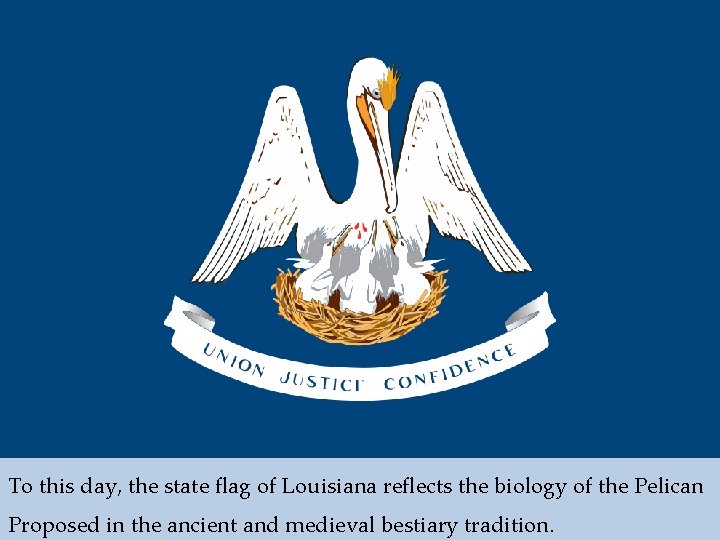 To this day, the state flag of Louisiana reflects the biology of the Pelican