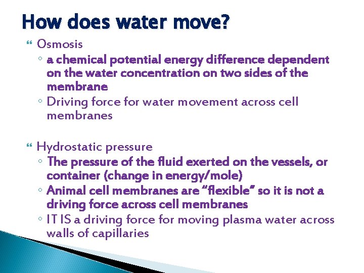 How does water move? Osmosis ◦ a chemical potential energy difference dependent on the