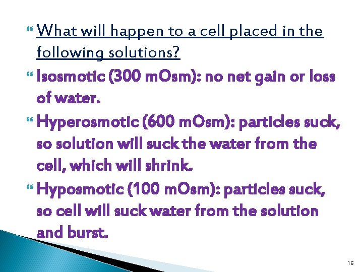  What will happen to a cell placed in the following solutions? Isosmotic (300