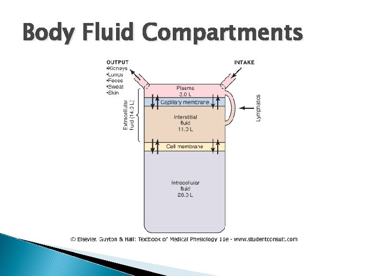 Body Fluid Compartments 