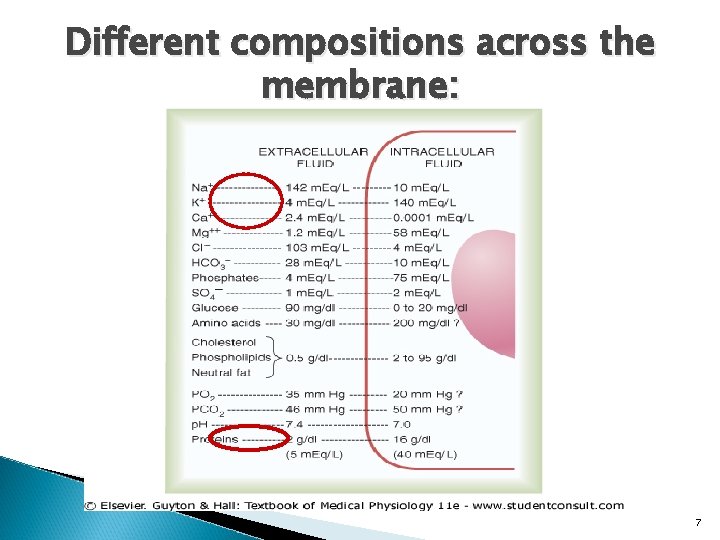 Different compositions across the membrane: 7 