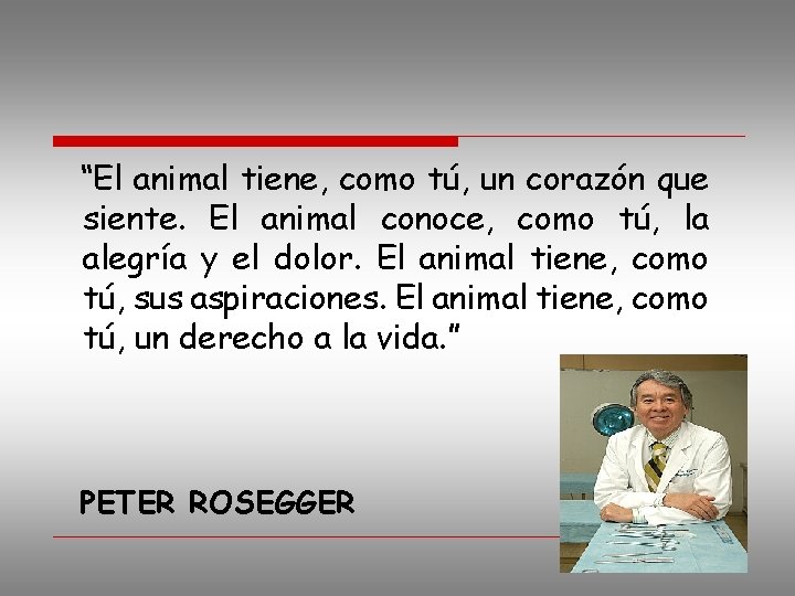  “El animal tiene, como tú, un corazón que siente. El animal conoce, como