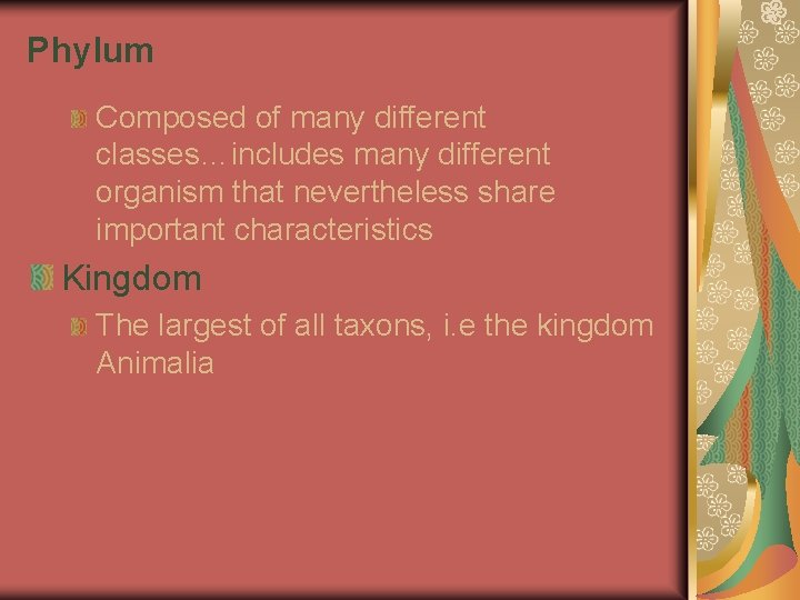 Phylum Composed of many different classes…includes many different organism that nevertheless share important characteristics