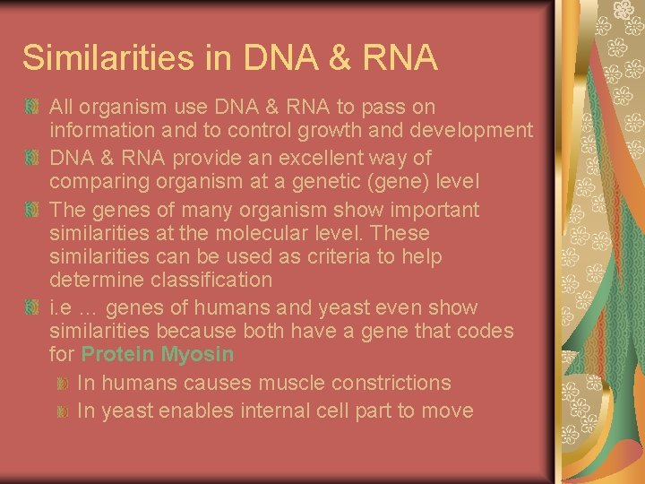 Similarities in DNA & RNA All organism use DNA & RNA to pass on