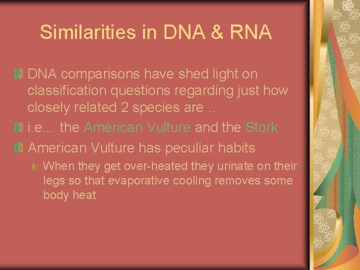 Similarities in DNA & RNA DNA comparisons have shed light on classification questions regarding
