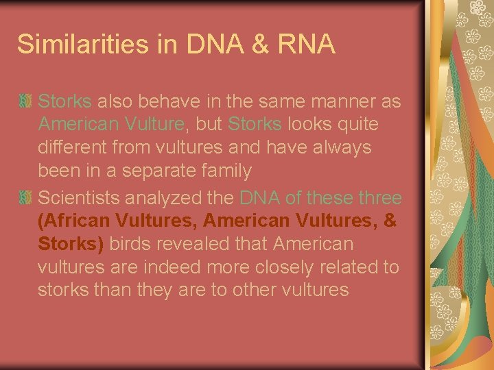 Similarities in DNA & RNA Storks also behave in the same manner as American