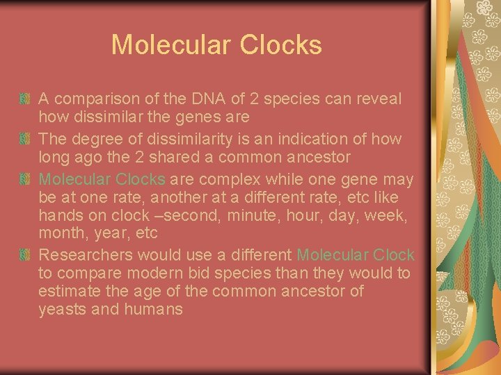 Molecular Clocks A comparison of the DNA of 2 species can reveal how dissimilar