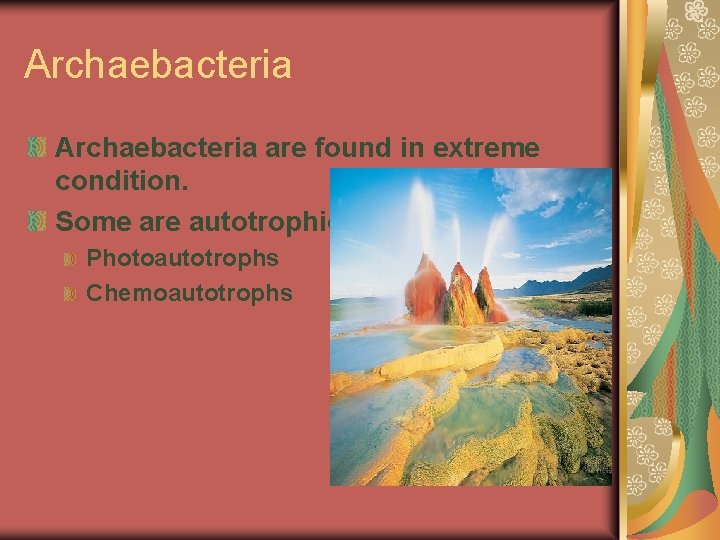 Archaebacteria are found in extreme condition. Some are autotrophic Photoautotrophs Chemoautotrophs 