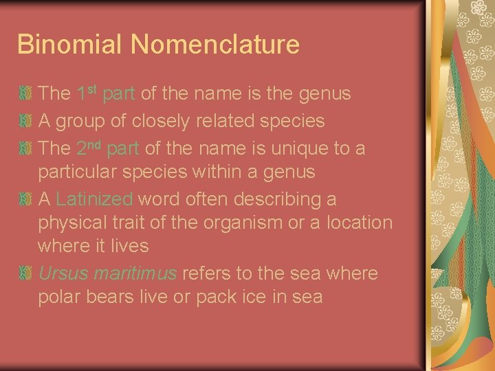 Binomial Nomenclature The 1 st part of the name is the genus A group