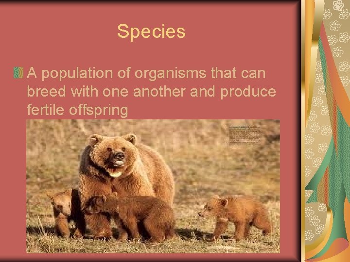 Species A population of organisms that can breed with one another and produce fertile