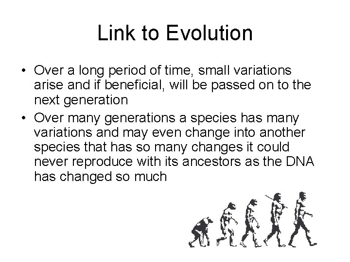 Link to Evolution • Over a long period of time, small variations arise and