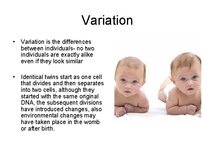 Variation • Variation is the differences between individuals- no two individuals are exactly alike