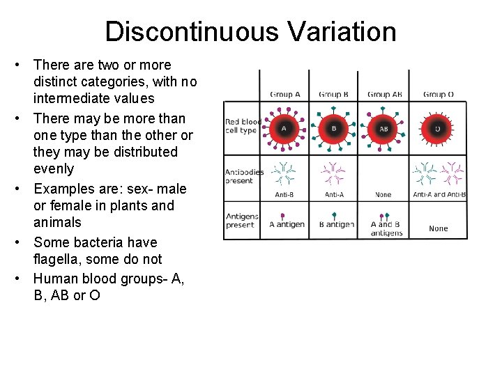 Discontinuous Variation • There are two or more distinct categories, with no intermediate values
