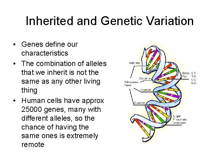 Inherited and Genetic Variation • Genes define our characteristics • The combination of alleles