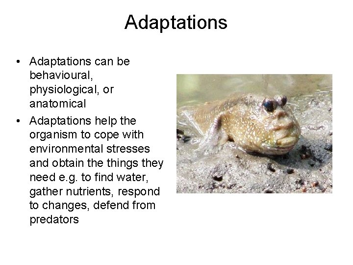 Adaptations • Adaptations can be behavioural, physiological, or anatomical • Adaptations help the organism