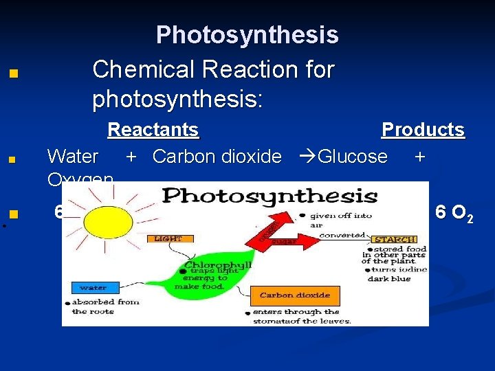 ■ ■ ■ Photosynthesis Chemical Reaction for photosynthesis: Reactants Products Water + Carbon dioxide