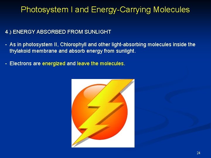 Photosystem I and Energy-Carrying Molecules 4. ) ENERGY ABSORBED FROM SUNLIGHT - As in