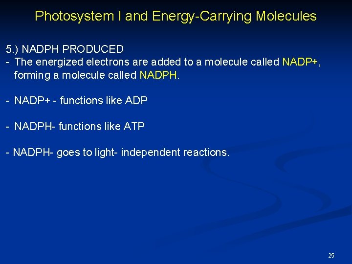 Photosystem I and Energy-Carrying Molecules 5. ) NADPH PRODUCED - The energized electrons are