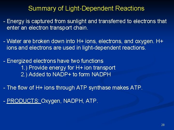 Summary of Light-Dependent Reactions - Energy is captured from sunlight and transferred to electrons