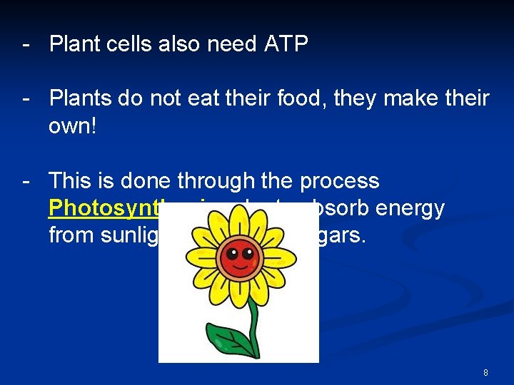 - Plant cells also need ATP - Plants do not eat their food, they