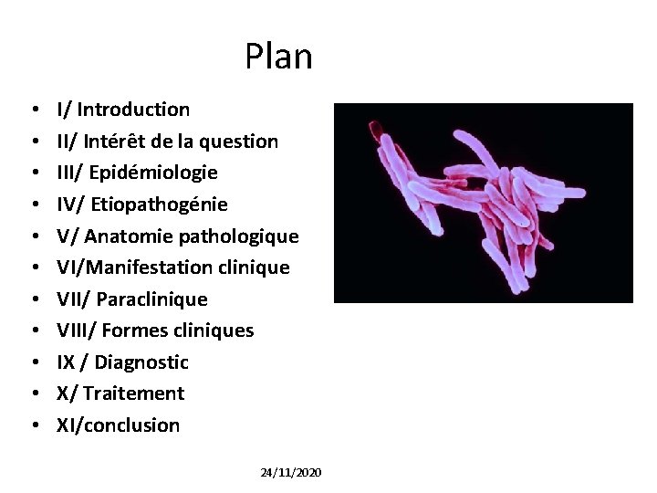 Plan • • • 2 I/ Introduction II/ Intérêt de la question III/ Epidémiologie