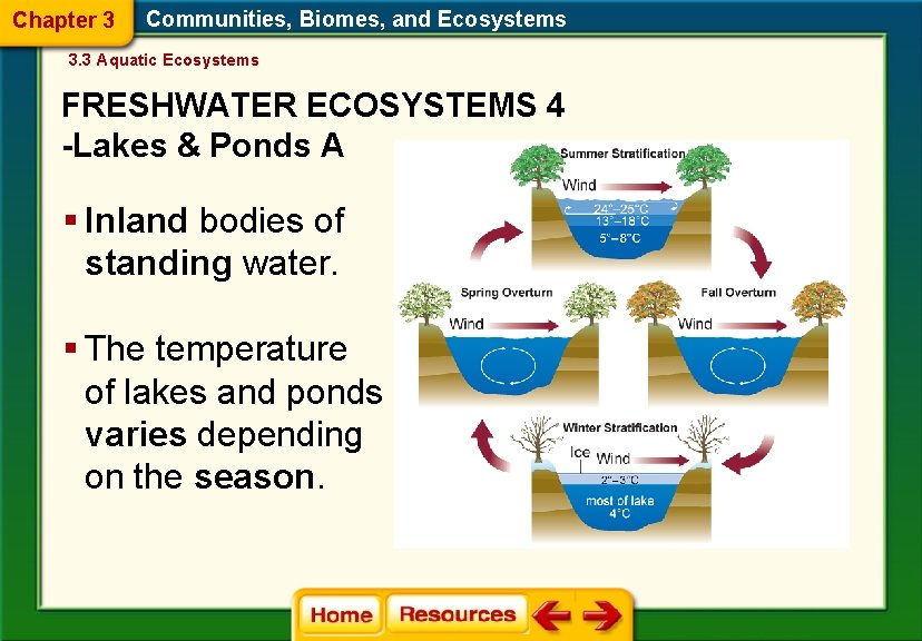 Chapter 3 Communities, Biomes, and Ecosystems 3. 3 Aquatic Ecosystems FRESHWATER ECOSYSTEMS 4 -Lakes